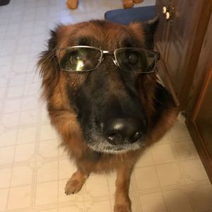 Meet your Posher, Robin